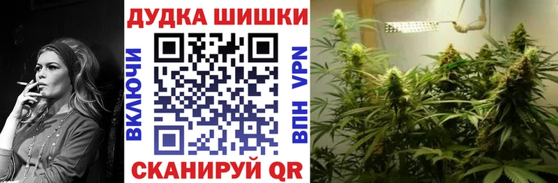Каннабис сатива  Купить закладки  Куровское 